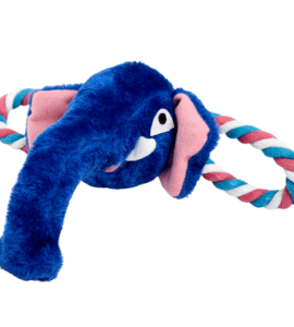 Elefante Com Corda