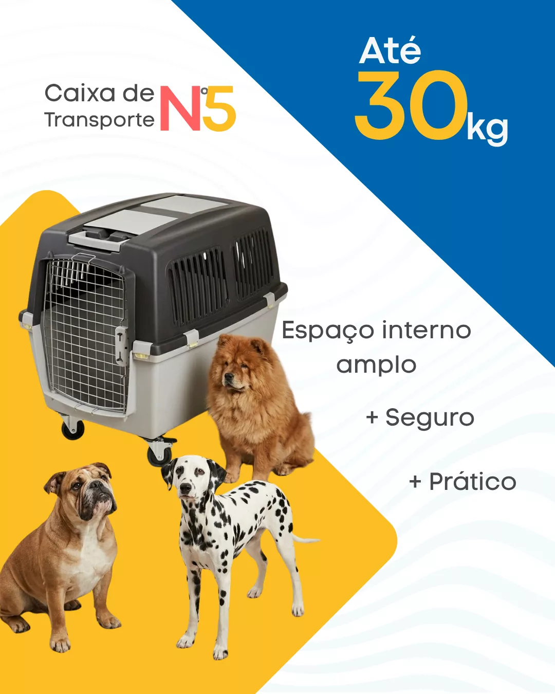Caixa de Transporte Gulliver 5 - Imagem 14