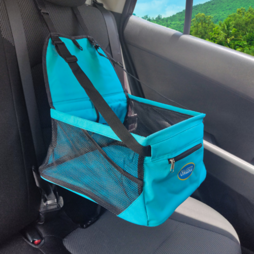 Car Seat - Image 4