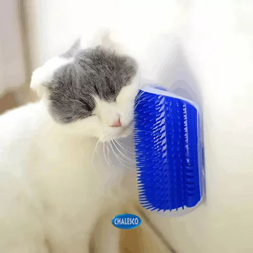 MASSAGEADOR DE GATO C/ CATNIP - Imagem 9