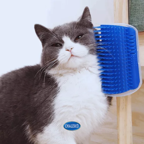 MASSAGEADOR DE GATO C/ CATNIP - Imagem 2