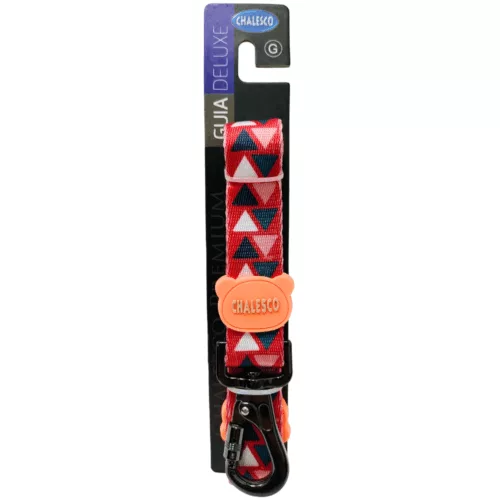 GUIA DELUXE DREAM G - Imagem 2
