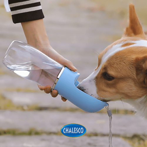 Bebedouro Automático Fresh Dog Plus 380ml - Image 2