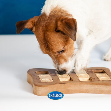 Entenda a importância dos brinquedos interativos para pets