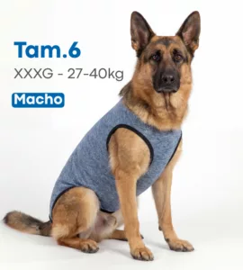 MEDLINE ROUPA CIRURGICA MACHO TAM 6